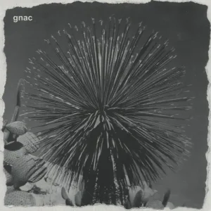 Same Day Shipping Gnac The Moustache / Armchair Thriller UK 7" vinyl