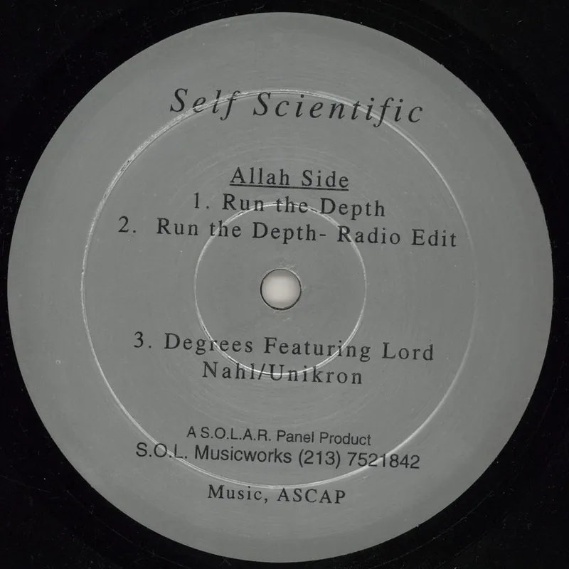 Limited Offer Self Scientific Run The Depth / Degrees US 12" vinyl
