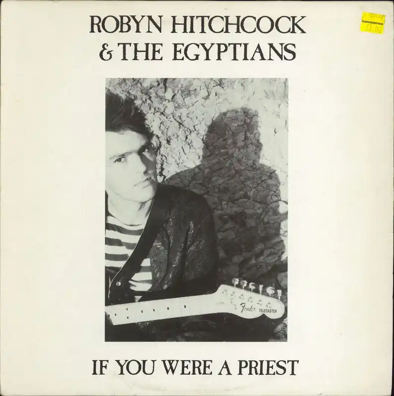 Top Pick Robyn Hitchcock If You Were A Priest UK 12" vinyl