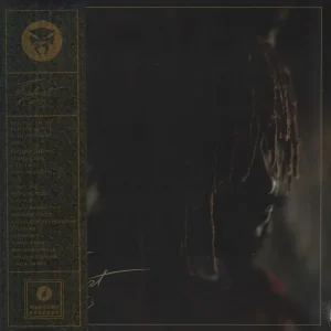 Thundercat It Is What It Is - Pink - Sealed UK Vinyl LP Hassle-Free Returns