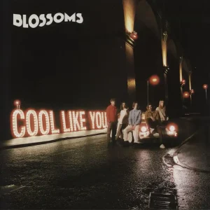 Blossoms Cool Like You - 180gm Vinyl + Autographed Inserts UK Vinyl LP Last Chance