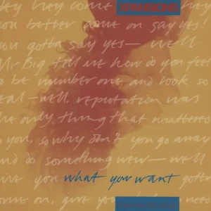 Fast Shipping Xpansions What You Want UK 12" vinyl