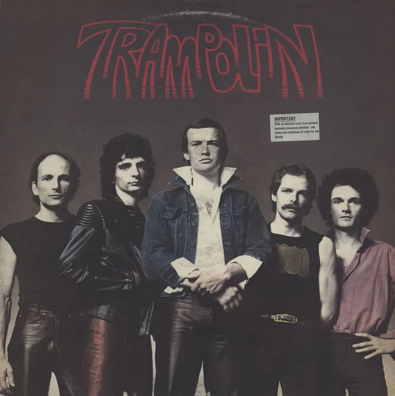 Trampolin Trampolin Dutch Vinyl LP Must Have