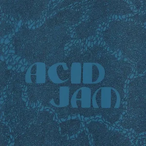 Various-Prog & Psych Acid Jam UK Vinyl LP Brand New