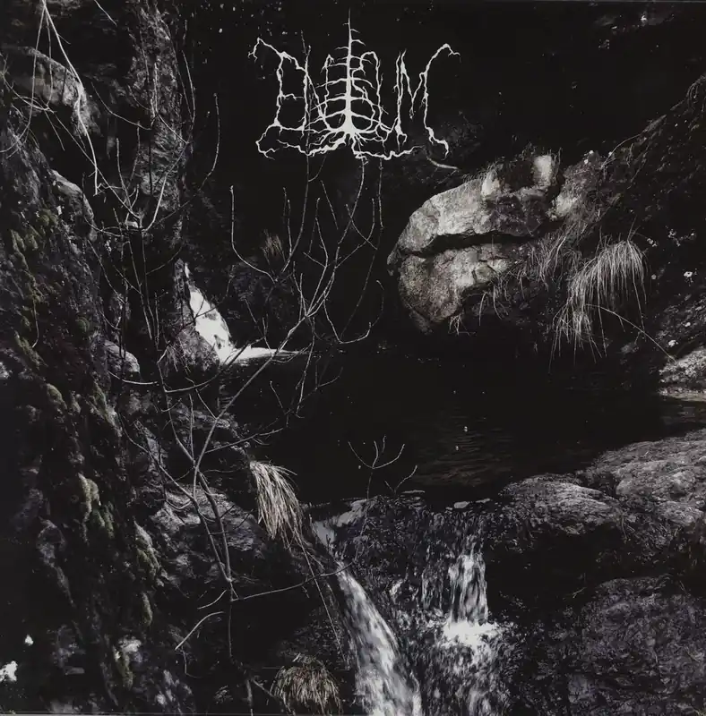 Bulk Order Enisum Samoht Nara German Vinyl LP