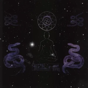 Acherontas Black Blood Ceremony Dutch Vinyl LP Buy Today