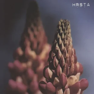 HRSTA Ghosts Will Come And Kiss Our Eyes Canadian Vinyl LP Buy Direct