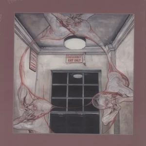 Caina Gentle Illness - Sealed UK Vinyl LP One Day Deal