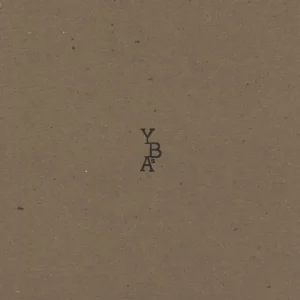 Secure Checkout Young British Artists Lived In Skin UK 7" vinyl