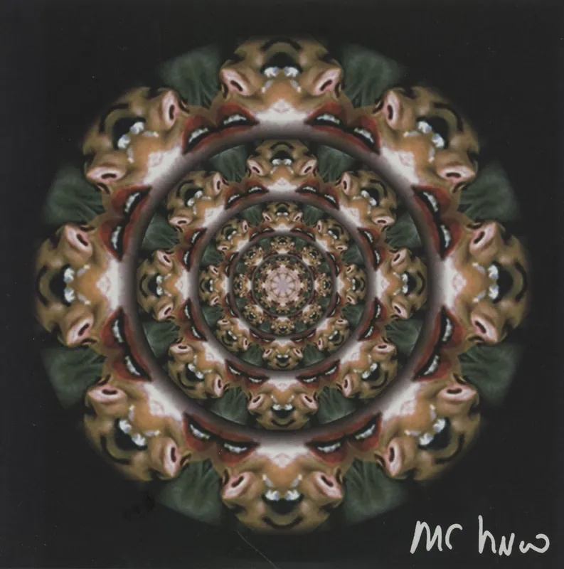 Mr Huw Gwyneb Dod / Morgi Mawr Gwyn UK 7" vinyl Affordable