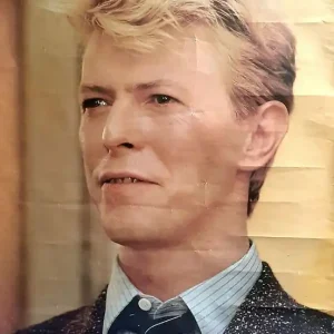 Genuine David Bowie Anabas Poster AA100 UK Poster