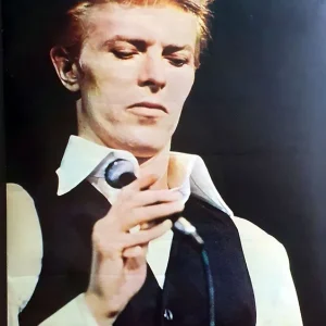 David Bowie Thin White Duke Poster UK Promo Poster Worldwide Shipping