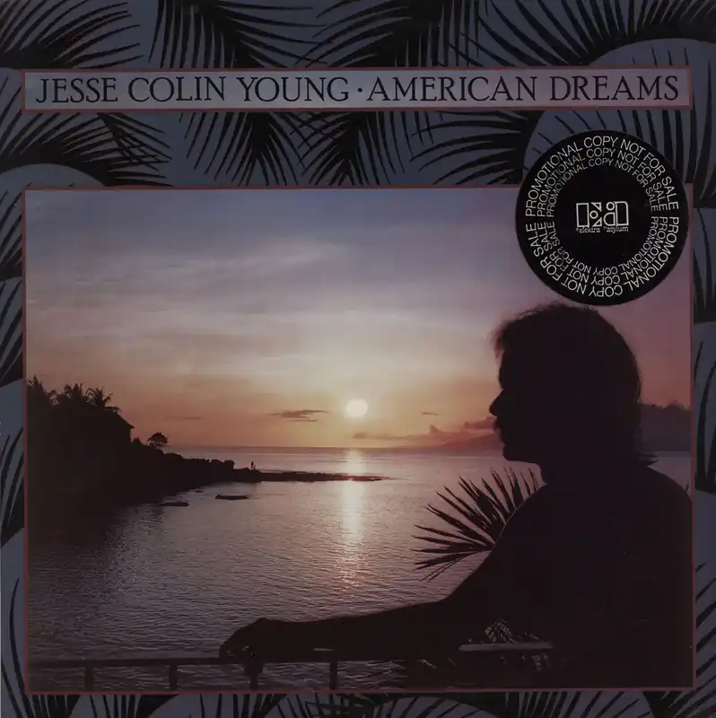 Jesse Colin Young American Dreams US Promo Vinyl LP Mega Sale