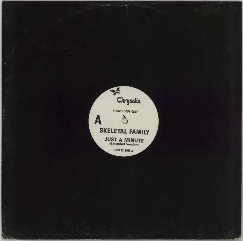 Factory Price Skeletal Family Just A Minute UK Promo 12" vinyl