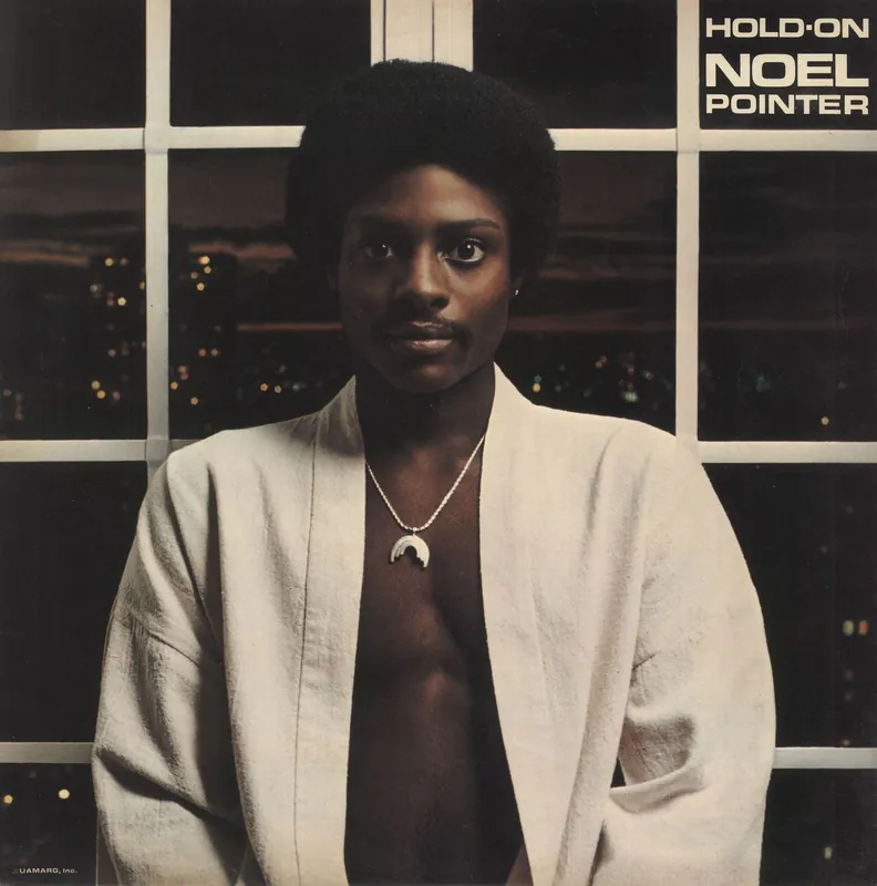 Noel Pointer Hold On UK Vinyl LP Big Sale