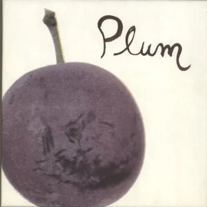 Place Order Various-Indie Plum US 7" box set