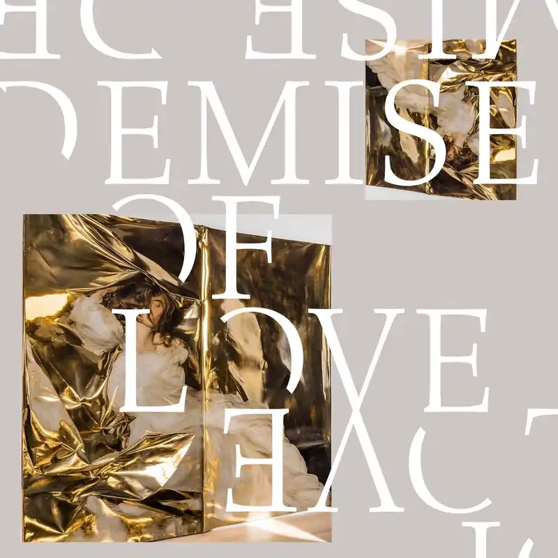 Demise Of Love - Demise Of Love (New Vinyl) &ndash; Sonic Boom Records Wholesale