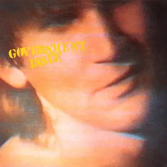 Government Issue - The Fun Just Never Ends (New Vinyl) &ndash; Sonic Boom Records Grab Now