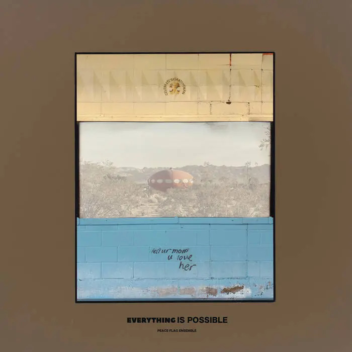 Peace Flag Ensemble -Everything Is Possible (New Vinyl) &ndash; Sonic Boom Records Big Sale
