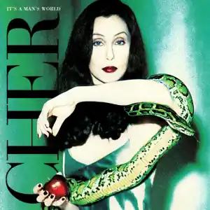 Bulk Order Cher - It's A Man's World (New VInyl) &ndash; Sonic Boom Records