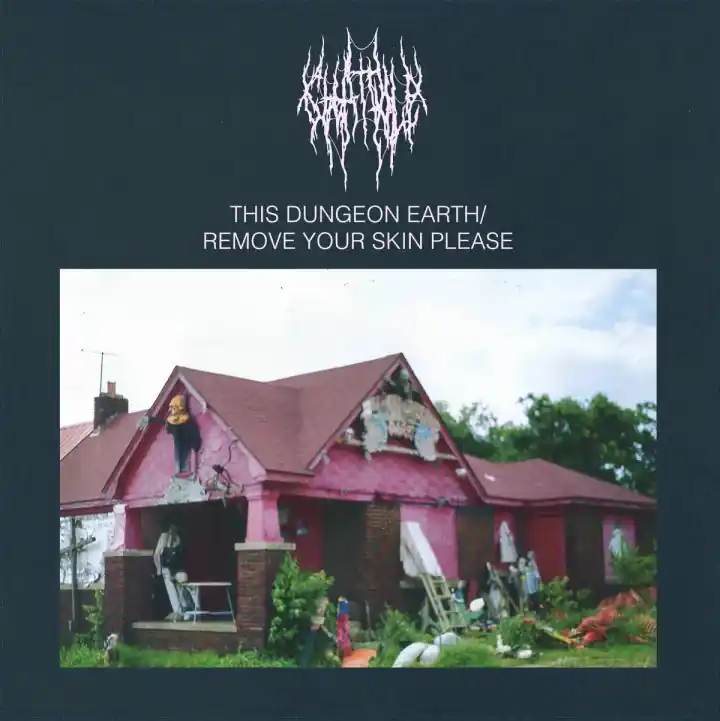 Markdown Chat Pile - This Dungeon Earth / Remove Your Skin Please (New Vinyl) &ndash; Sonic Boom Records
