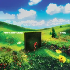 Direct From Manufacturer Rainbow Kitten Surprise - Bones (New Vinyl) &ndash; Sonic Boom Records