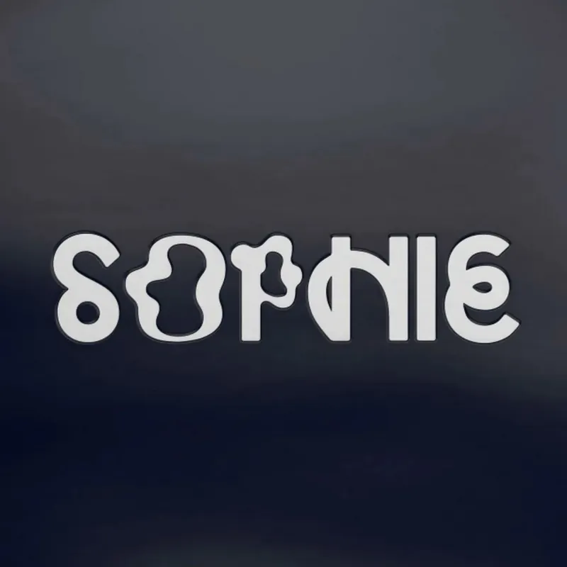 Exclusive Sophie - Product (Deluxe) (New Vinyl) &ndash; Sonic Boom Records