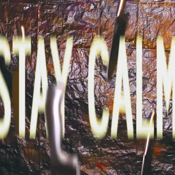 Wreck And Reference - Stay Calm (New Vinyl) &ndash; Sonic Boom Records Modern