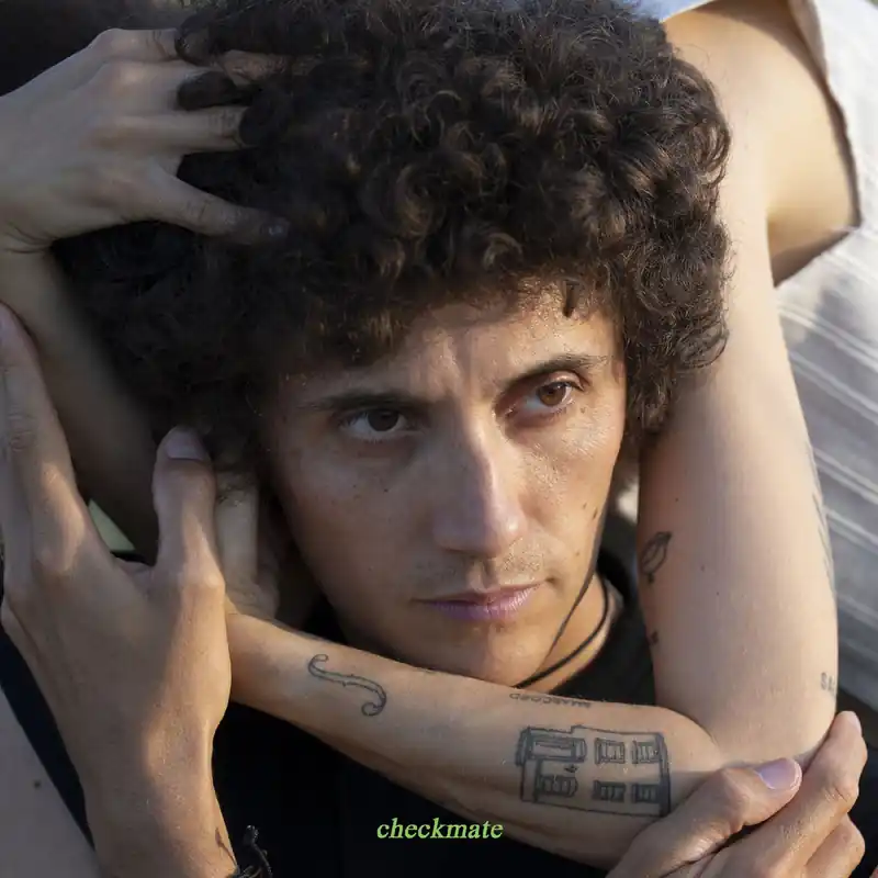 Wholesale Ron Gallo - Checkmate (New Vinyl) &ndash; Sonic Boom Records