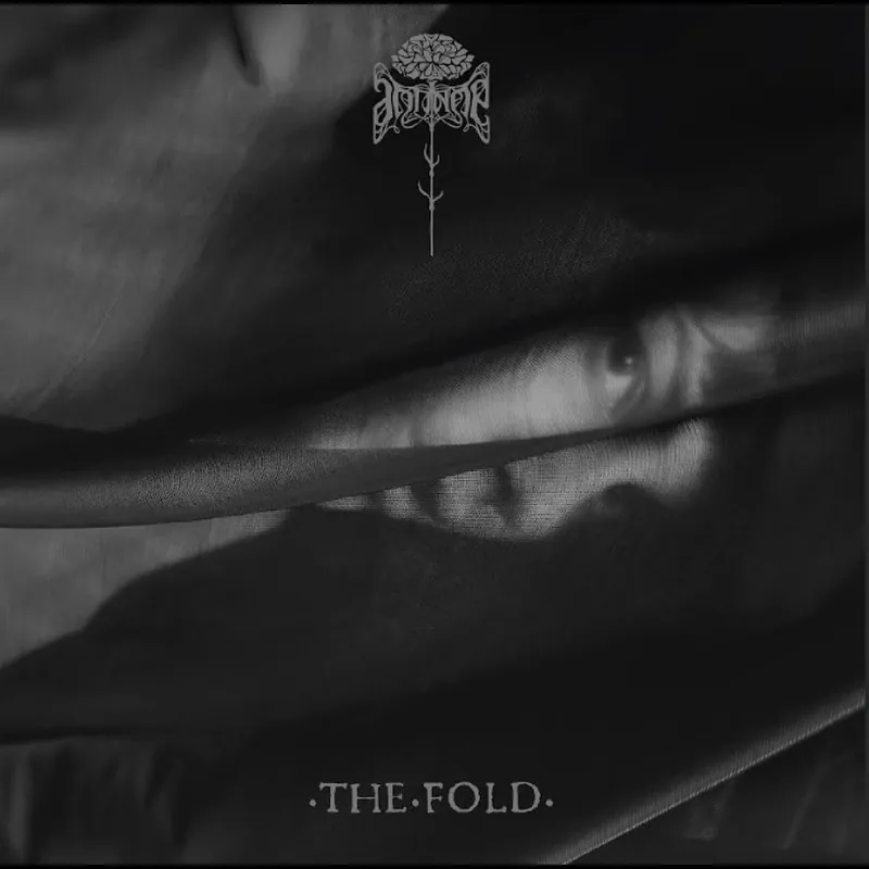 Antinoe - The Fold (New CD) &ndash; Sonic Boom Records Limited Time