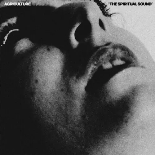 Agriculture – The Spiritual Sound (New CD) &ndash; Sonic Boom Records Trusted Brand