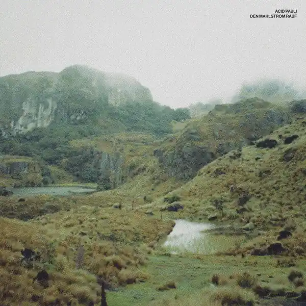 Acid Pauli – Den Mahlstrom Rauf (New Vinyl) &ndash; Sonic Boom Records Popular