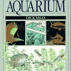 You & Your Aquarium: A Complete Guide To Collectin Express Delivery