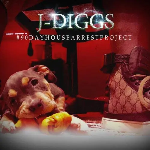#90dayhousearrestproject Professional Grade